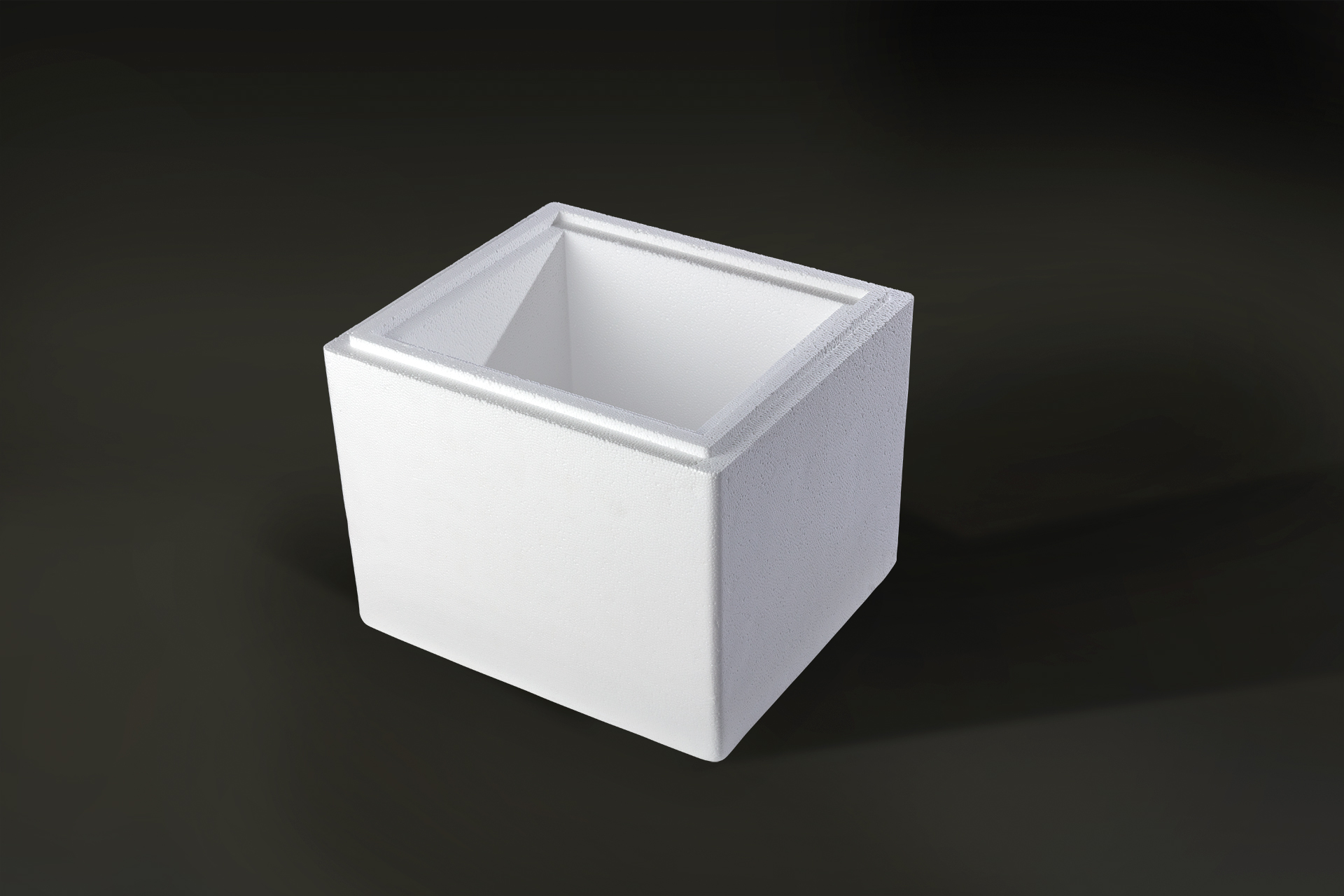 Thermobox Styroporbox online kaufen - Versandbehälter 8,2 Liter